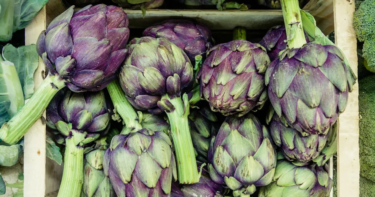 Artichoke growing in a garden