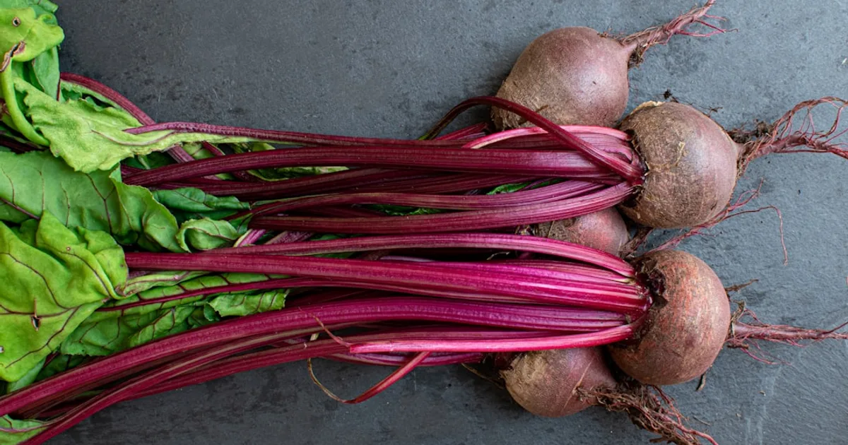 Beet growing in a garden