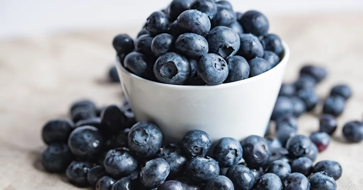 Blueberry growing in a garden