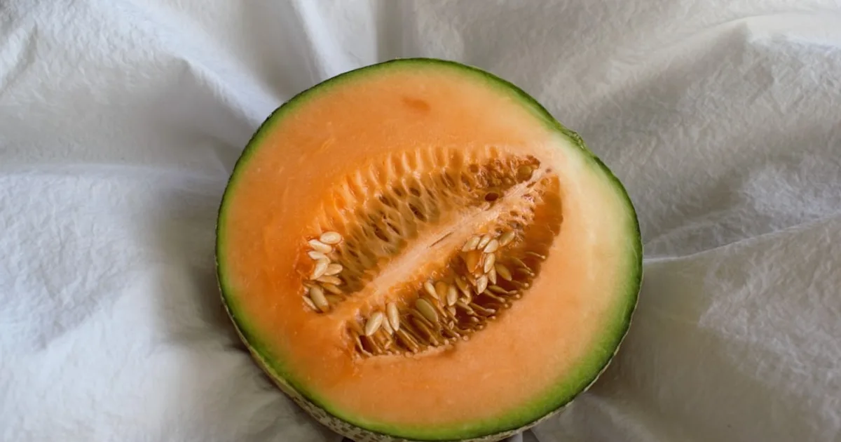 Cantaloupe growing in a garden