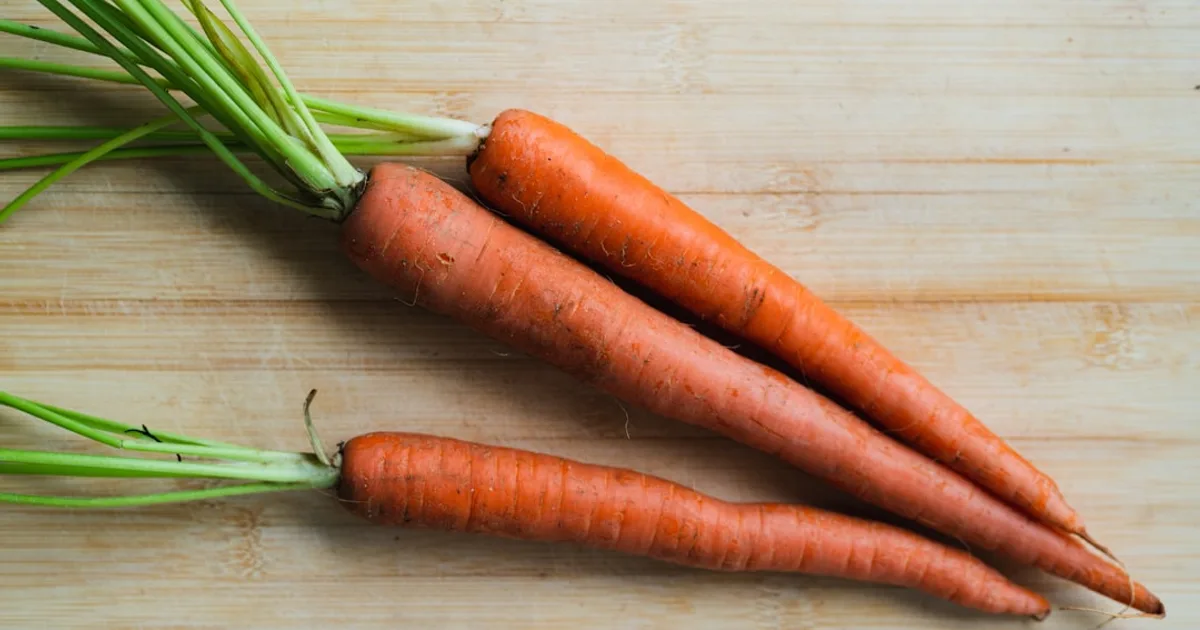 Carrot growing in a garden