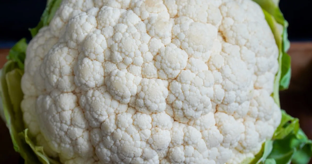 Cauliflower growing in a garden