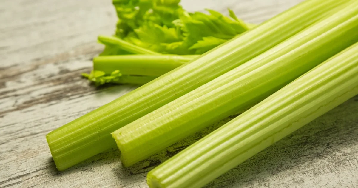 Celery growing in a garden