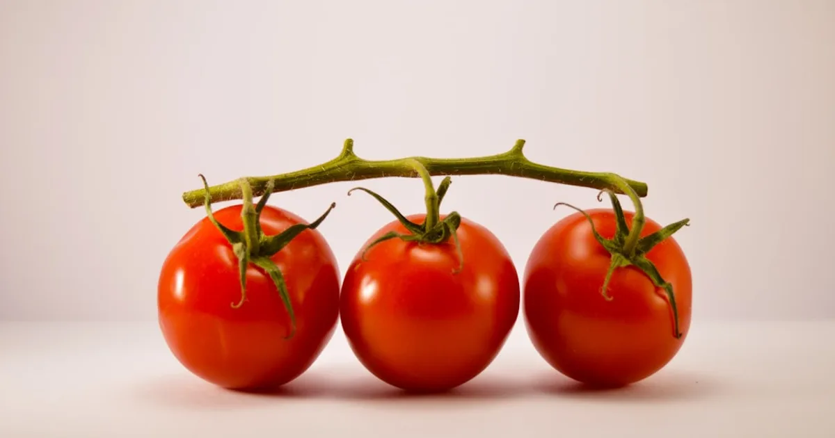 Cherry Tomato growing in a garden