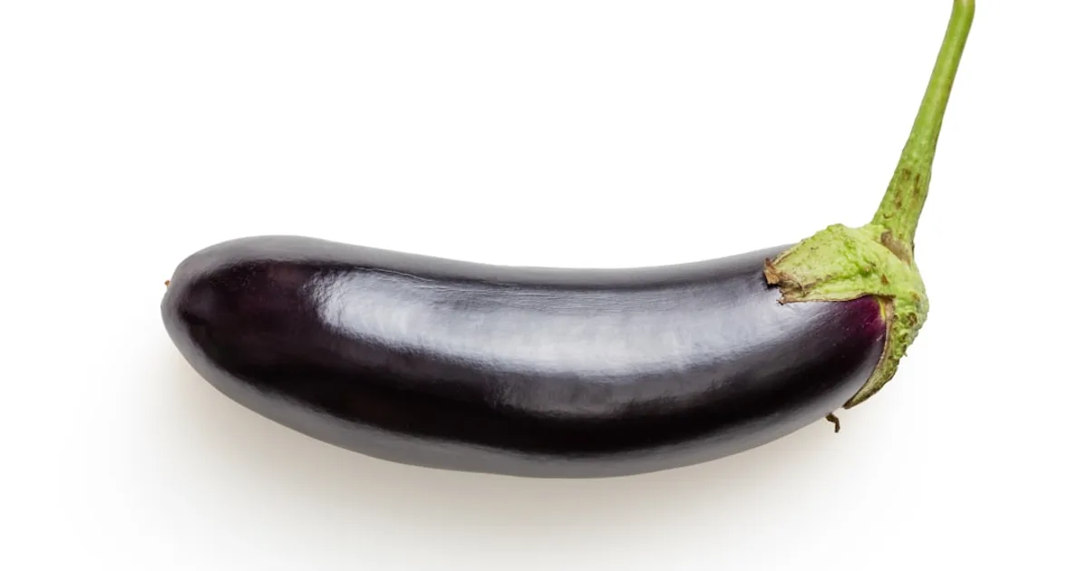 Eggplant growing in a garden