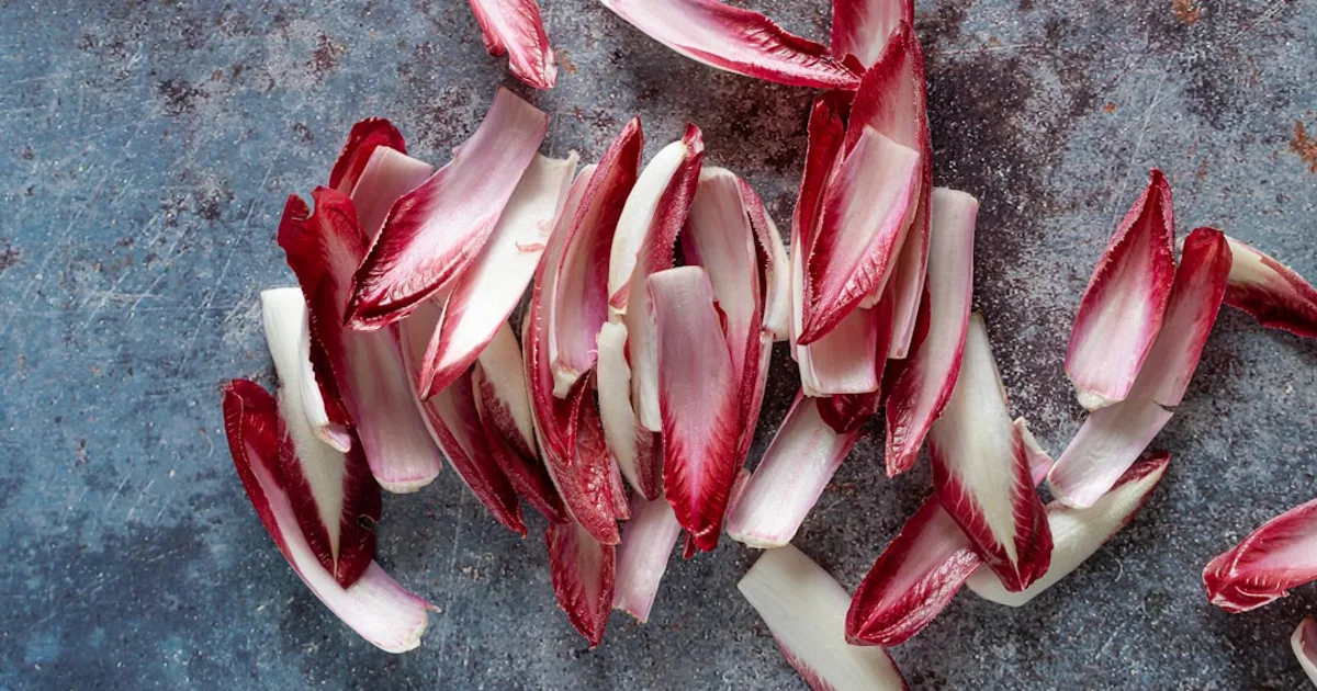 Endive growing in a garden