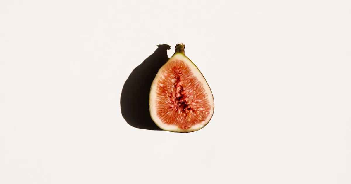 Fig growing in a garden