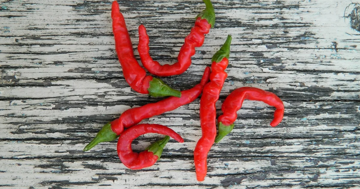 Hot Pepper growing in a garden