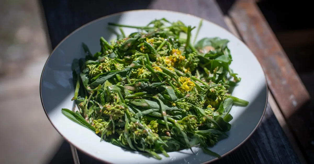 Mustard Greens growing in a garden