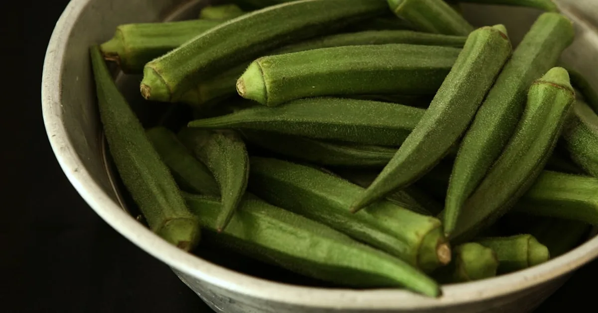 Okra growing in a garden