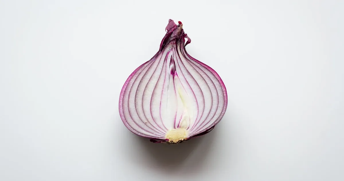 Onion growing in a garden