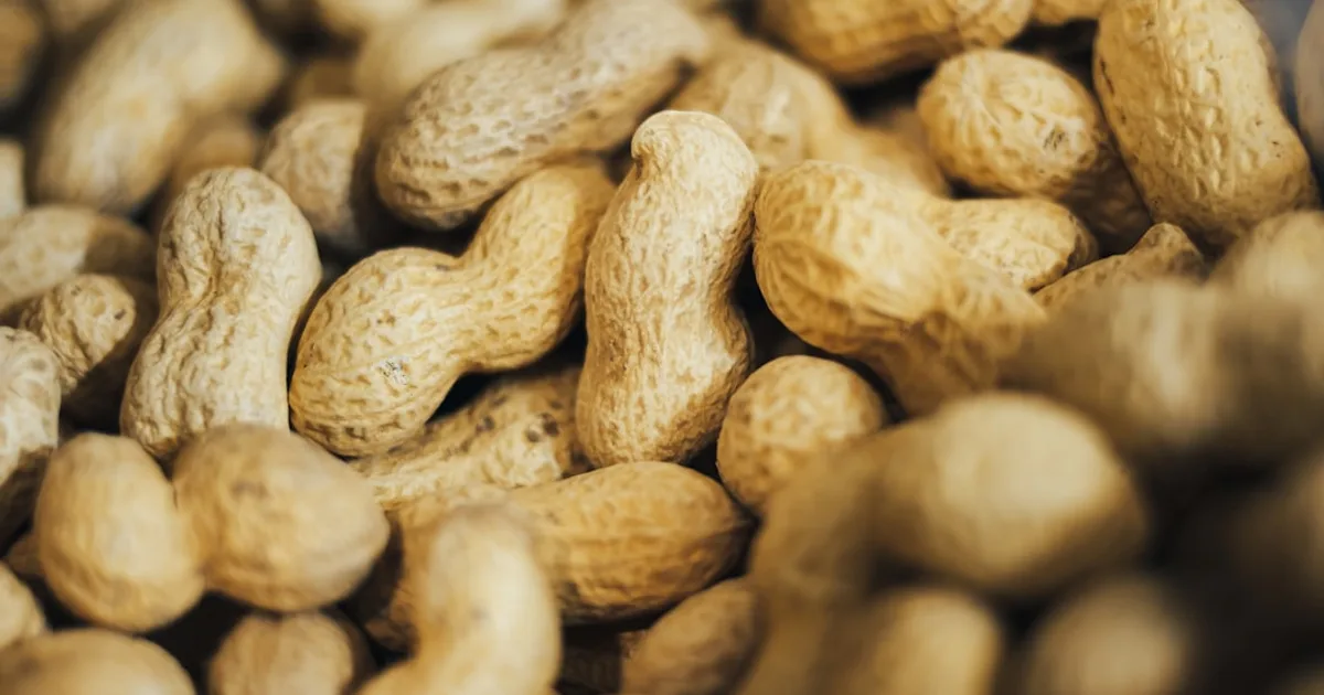 Peanut growing in a garden