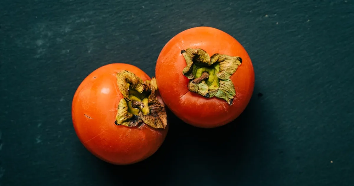 Persimmon growing in a garden