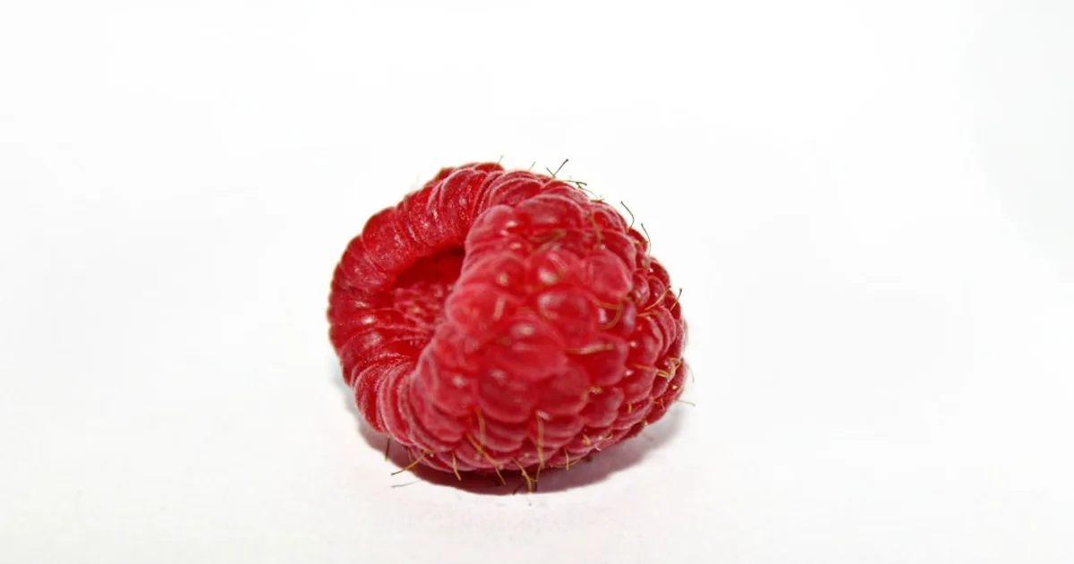 Raspberry growing in a garden