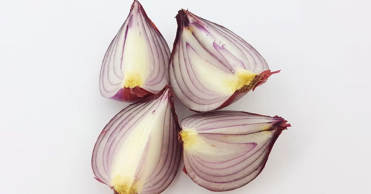 Shallot growing in a garden