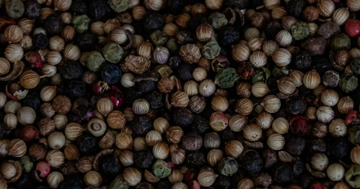 Sichuan Pepper growing in a garden