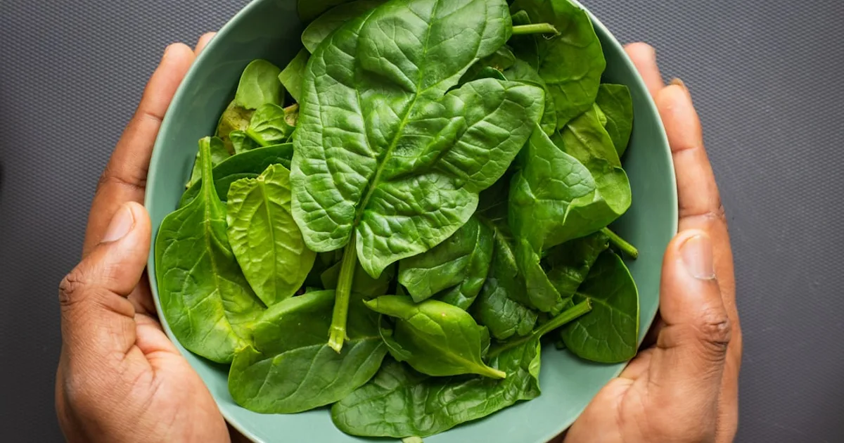 Spinach growing in a garden