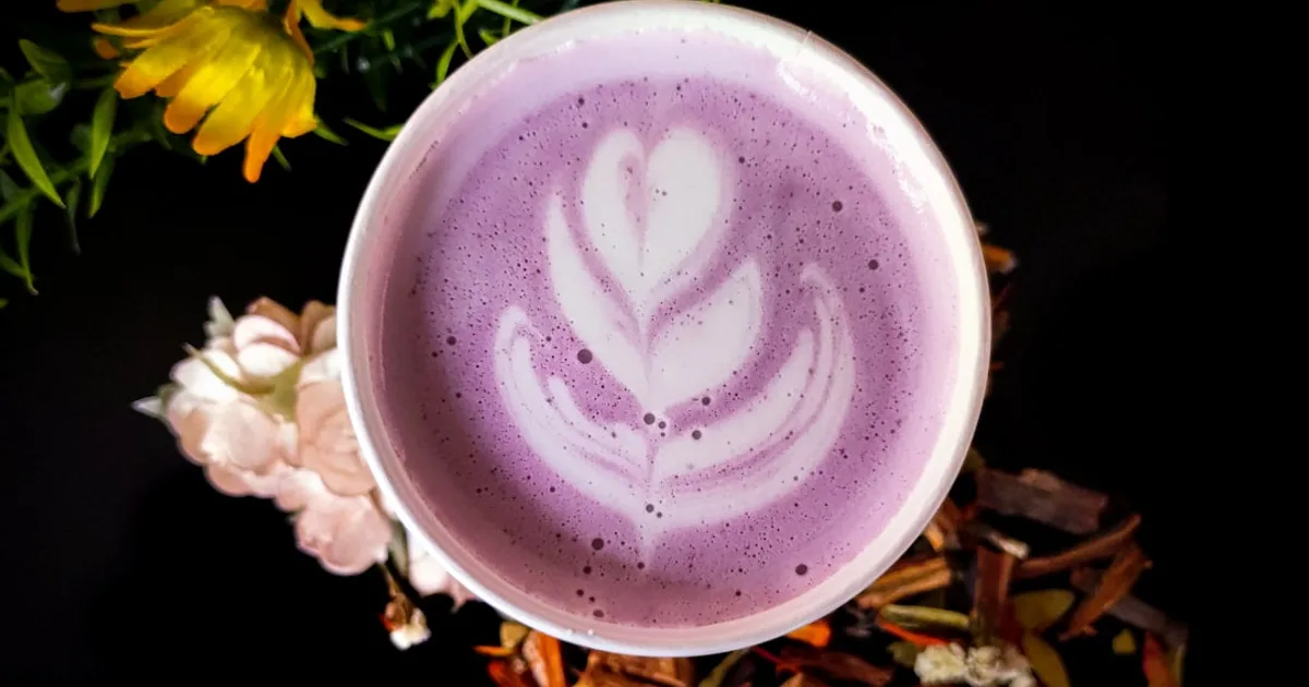 Taro growing in a garden
