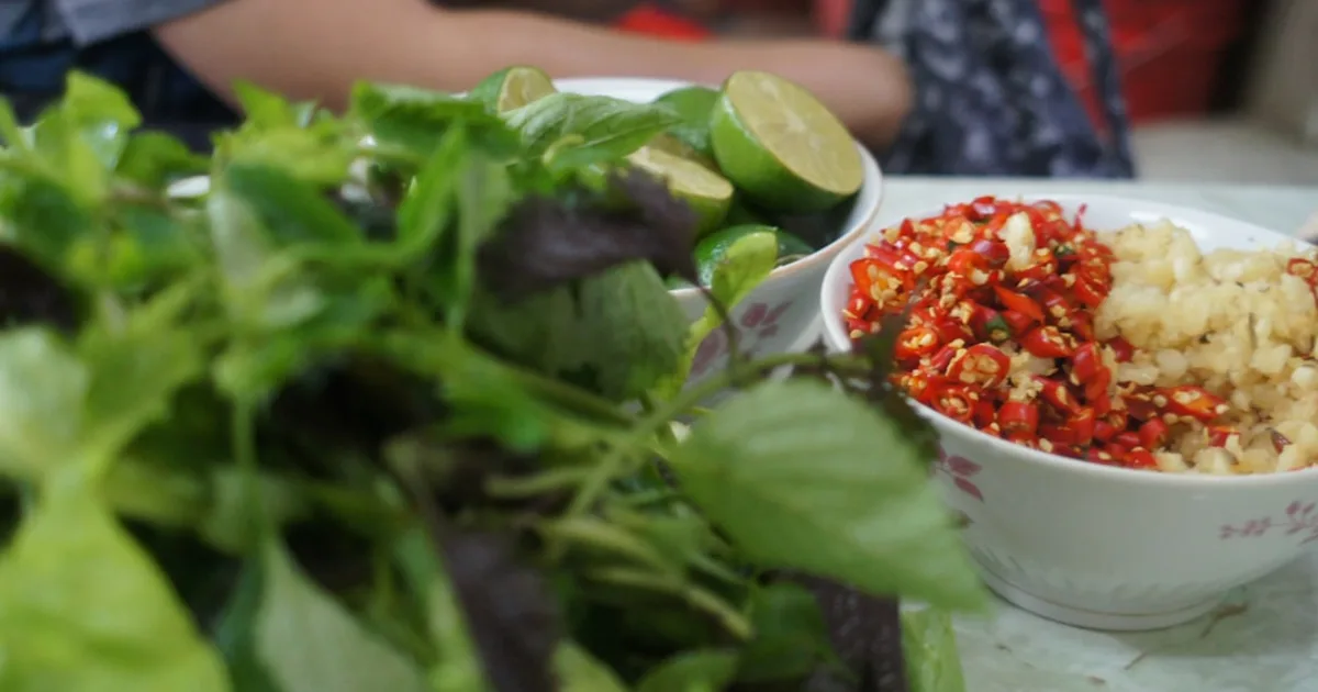 Vietnamese Coriander growing in a garden